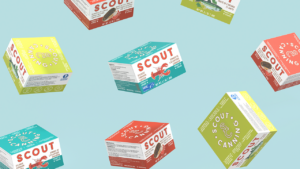 12 Days of Small Business featuring Scout Canning